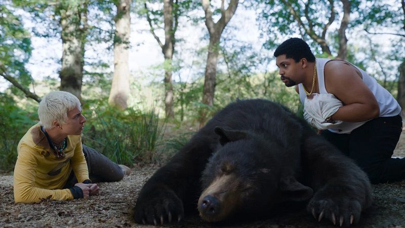 Кадр из фильма "Кокаиновый медведь"